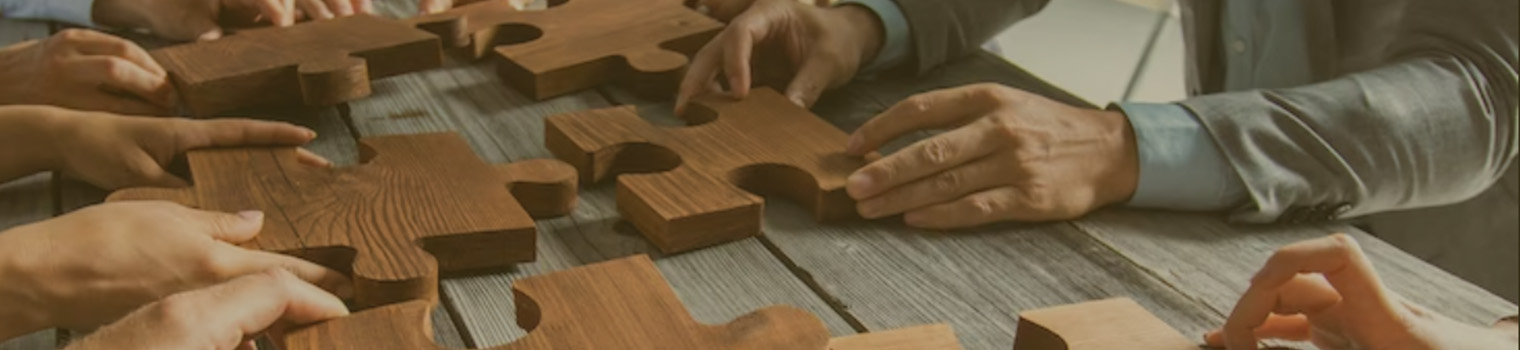 IBDL | IBDL Learning Group