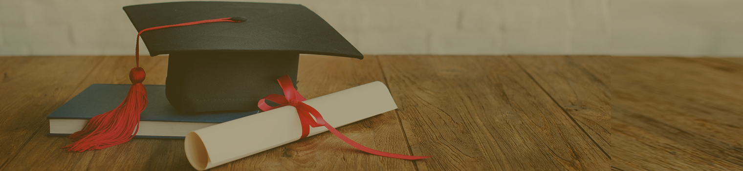 IBDL | IBDL Learning Group